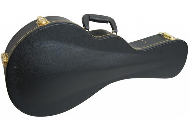 Stagg GCA-MF Koffer Mandoline : Bluegrass